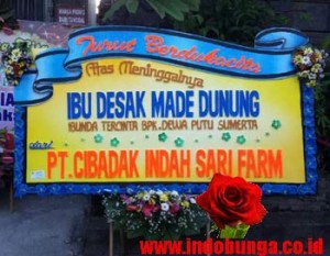 IBD BALI 1