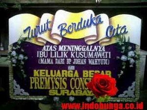 IBD JEMBER 2