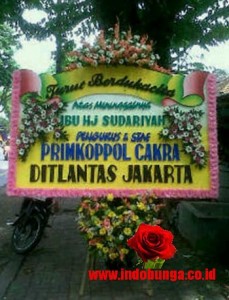 IBD REMBANG 3