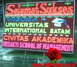 IBS BATAM 1