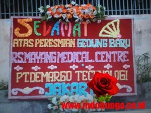 IBS JAMBI 2