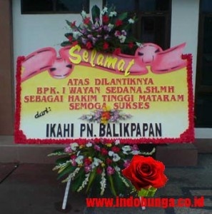 IBS MATARAM 2