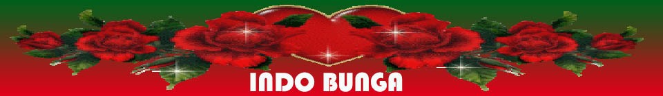 INDO BUNGA